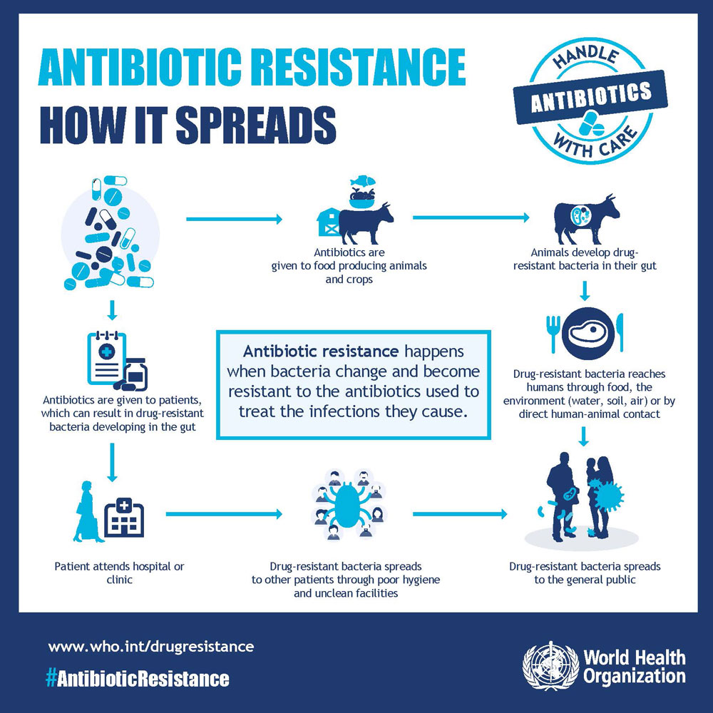 antibiotic resistance how it spreads
