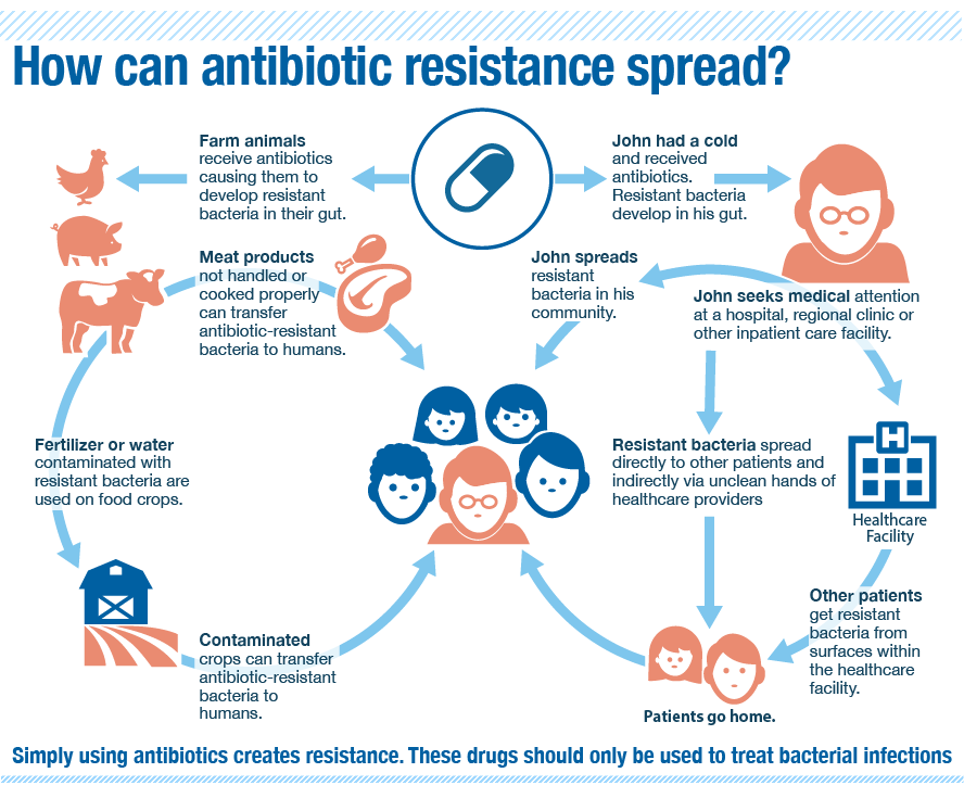 antibiotic resistance spread graphic