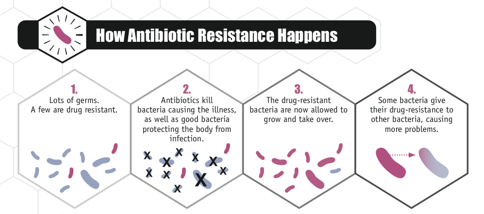 how antibiotic resistance happens