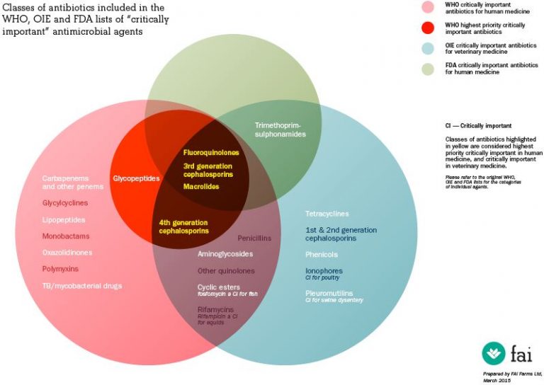 Antibiotics Classification AntibioticStore Online