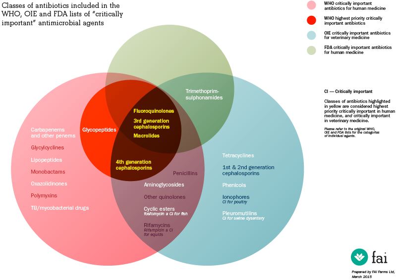 antibiotic classes diagram